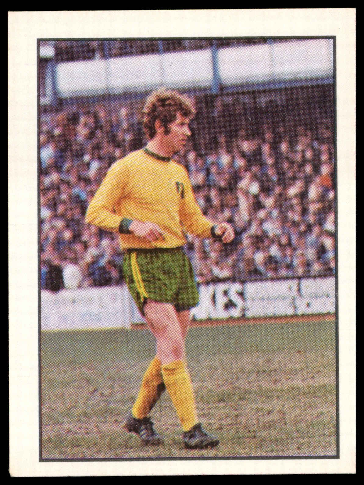 Panini Top Sellers - 'Football 73' (1973) - Alan Black (Norwich City) Panini Top Sellers - 'Football 73' (1973) - Alan Black (Norwich City)