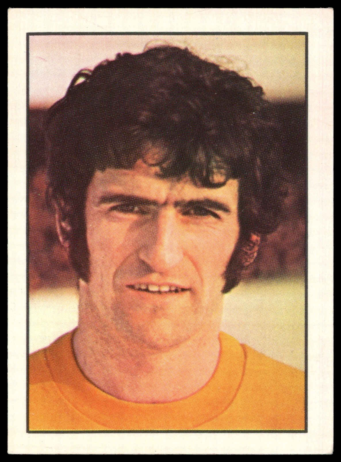 Panini Top Sellers - 'Football 73' (1973) - Hugh Fisher (Southampton) Panini Top Sellers - 'Football 73' (1973) - Hugh Fisher (Southampton)