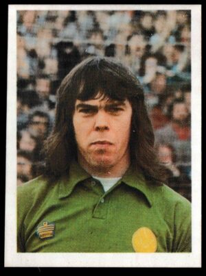 Panini - 'Top Sellers Football 77' (1977) - David Harvey (Leeds United) Panini - 'Top Sellers Football 77' (1977) - David Harvey (Leeds United)