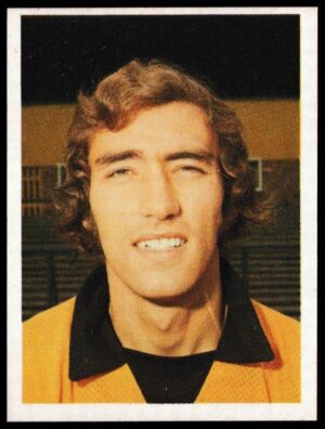 Panini - 'Top Sellers Football 77' (1977) - John McAlle (Wolverhampton Wanderers)