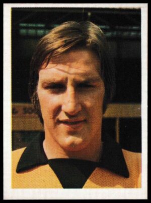 Panini - 'Top Sellers Football 77' (1977) - Steve Daley (Wolverhampton Wanderers)