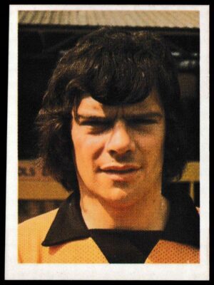 Panini - 'Top Sellers Football 77' (1977) - Frank Munro (Wolverhampton Wanderers)