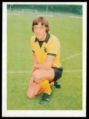 Panini - 'Top Sellers Football 77' (1977) - John Richards (Wolverhampton Wanderers)