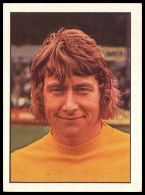 Panini Top Sellers - 'Football 73' (1973) - Bobby Hoy (Huddersfield Town) Panini Top Sellers - 'Football 73' (1973) - Bobby Hoy (Huddersfield Town)