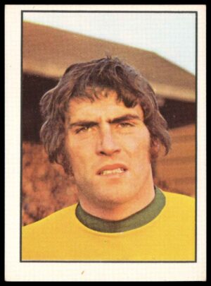 Panini Top Sellers - 'Football 73' (1973) - Alan Black (Norwich City)