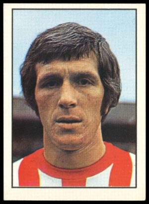Panini Top Sellers - 'Football 73' (1973) - Alan Woodward (Sheffield United) Panini Top Sellers - 'Football 73' (1973) - Alan Woodward (Sheffield United)