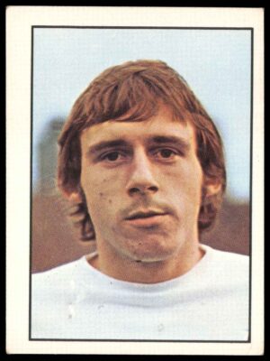 Panini Top Sellers - 'Football 73' (1973) - Ray Evans (Tottenham Hotspur)