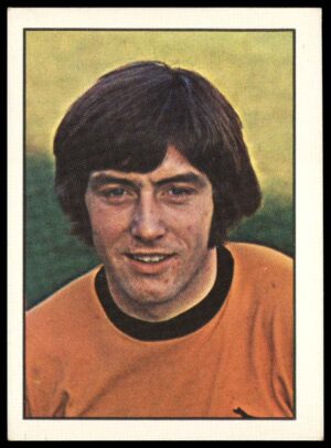 Panini Top Sellers - 'Football 73' (1973) - John Richards (Wolverhampton Wanderers)
