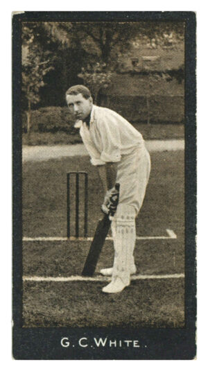 Smith's - 'Cricketers' - G.C. White (Transvaal) (1912)