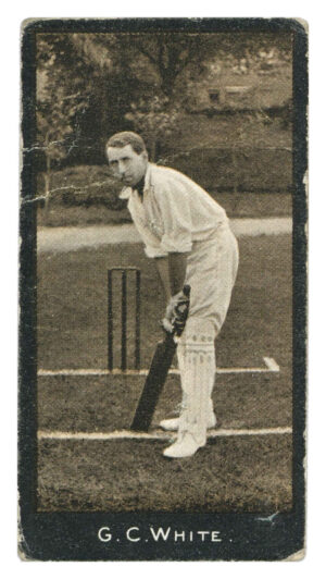 Smith's - 'Cricketers' (1912) - G.C. White (Transvaal)