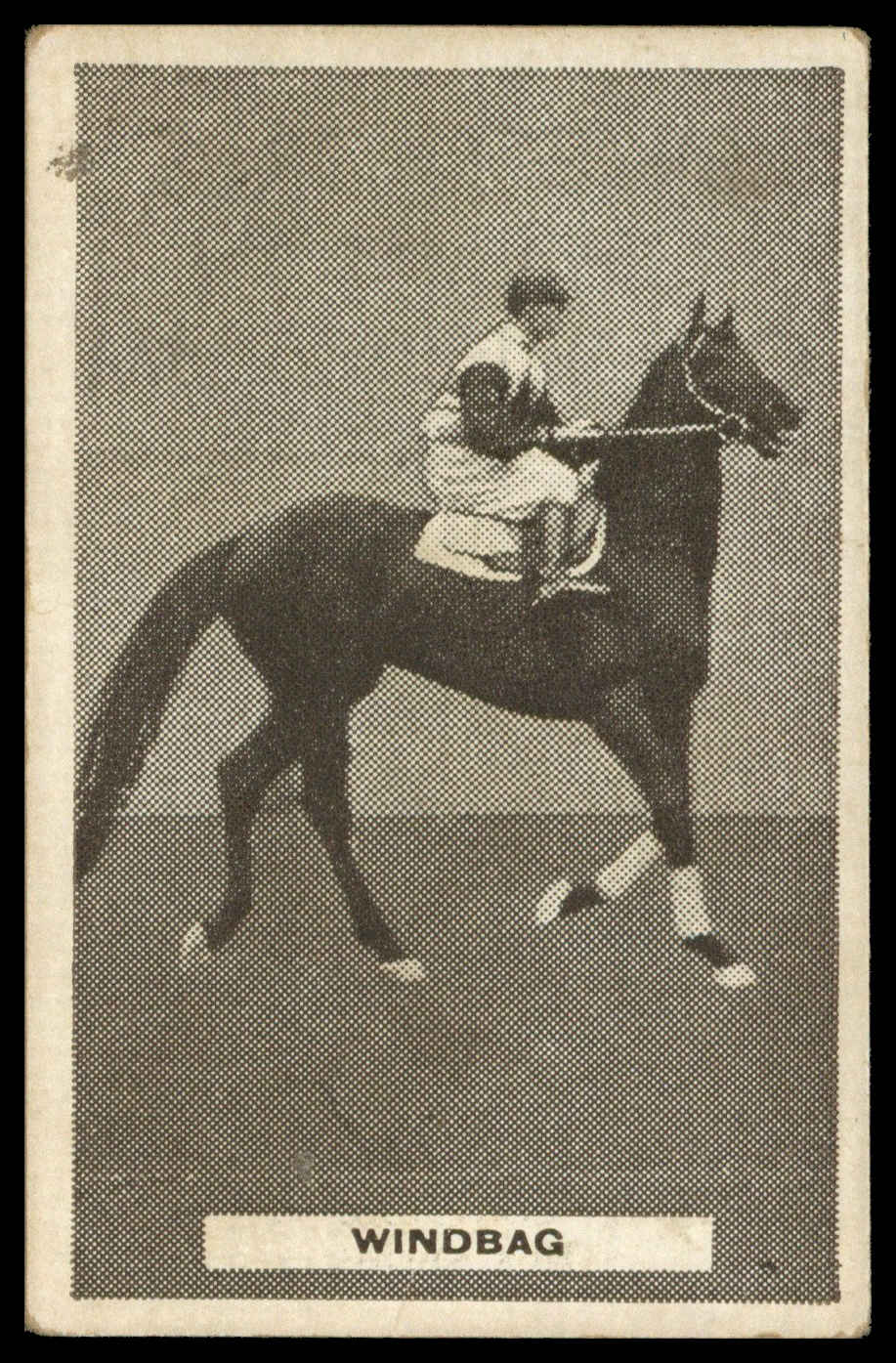 Sweetacres - 'Sports Champions Etc' (c1930) - Windbag (Horseracing - Australia) Sweetacres - 'Sports Champions Etc' (c1930) - Windbag (Horseracing - Australia)