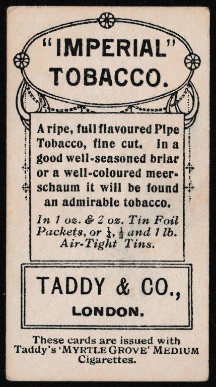 Taddy & Co - 'Prominent Footballers QPR (1908-9 - IMPERIAL)' (1908) - Card #12 - A. Nicholls Taddy & Co - 'Prominent Footballers QPR (1908-9 - IMPERIAL)' (1908) - Card #12 - A. Nicholls