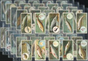 Wills - 'Fish & Bait' - Complete Set (1910)