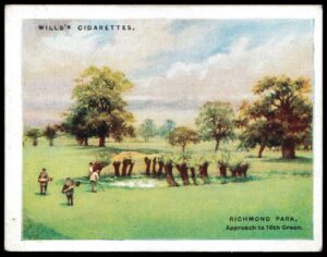 Wills (W.D. & H.O.) - 'Golfing' - Card #18 - Richmond Park