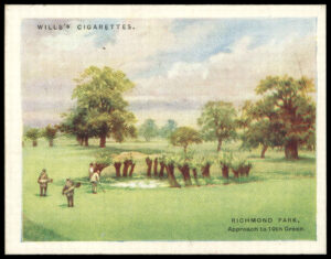 Wills - 'Golfing' (1924) - #18 - Richmond Park