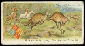 Wills - 'Sports of All Nations' (1900) - Australia - Kangaroo Driving