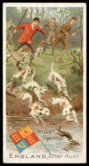 Wills - 'Sports of All Nations' (1900) - England - Otter Hunt