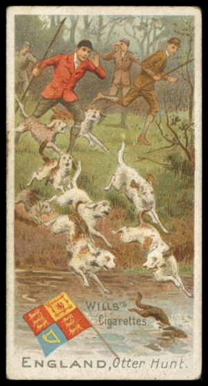 Wills - 'Sports of All Nations (Gold Flake)' (1900) - England - Otter Hunt