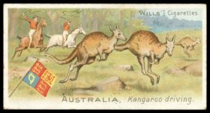 Wills - 'Sports of All Nations' (1900) - Australia - Kangaroo Driving