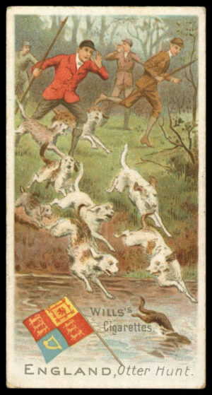 Wills - 'Sports of All Nations' (1900) - England - Otter Hunt