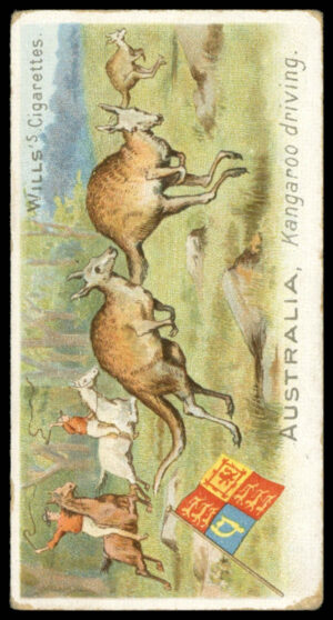 Wills - 'Sports of All Nations (Three Castles)' (1900) - Australia - Kangaroo Driving