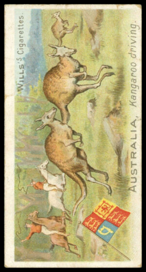 Wills - 'Sports of All Nations (Traveller)' (1900) - Australia - Kangaroo Driving